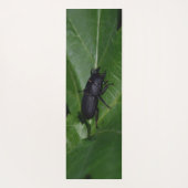 Dorcus parallelipipedus , der kleinere Hirschkäfer Yogamatte (Rückseite)