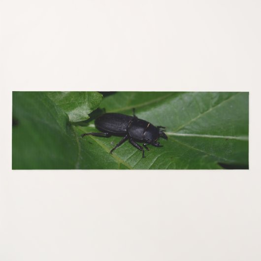 Dorcus parallelipipedus , der kleinere Hirschkäfer Yogamatte (Vorderseite (Horizontal))