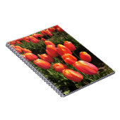 Dordogne Tulips, Oregon Notizblock (Rechte Seite)