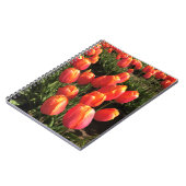 Dordogne Tulips, Oregon Notizblock (Linke Seite)