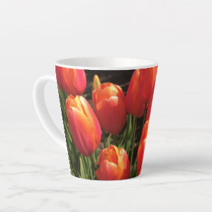 Dordogne Tulpen, Oregon Milchtasse