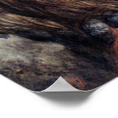 DORE-ZWEI EIGENDRUCKEN POSTER (Ecke)