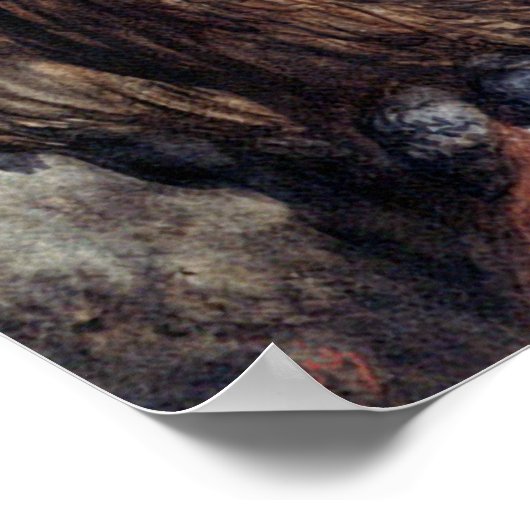 DORE-ZWEI EIGENDRUCKEN POSTER (Ecke)