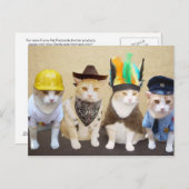 Dorf-Kätzchen Postkarte (Vorne/Hinten)