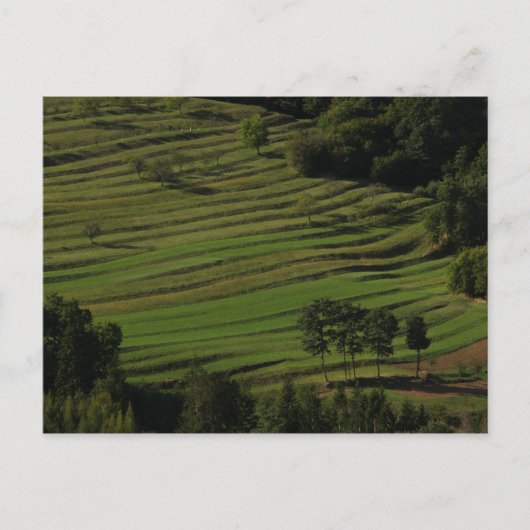 Dorf Prem, Berge Brkini, Slowenien Postkarte (Vorderseite)