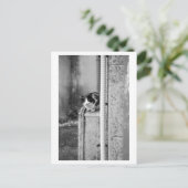 Dorfgemüsekatze Postkarte (Stehend Vorderseite)