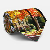 Dorfstraße im Herbst Krawatte (Gerollt)