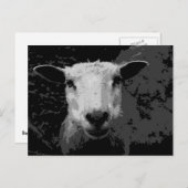 Doris das Schaf Postkarte (Vorne/Hinten)
