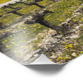 Dormant, Obstblüten, Steinhaus, Fotodruck (Ecke)