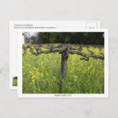 Dormant vine - Napa Valley Postkarte (Vorne/Hinten)
