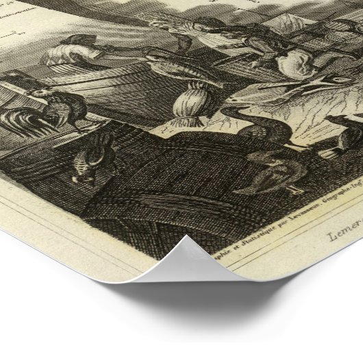 Dormusinfarkt abschaffen poster (Ecke)