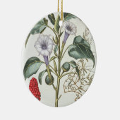 Dorn Apple, vom "Hortus Eystettensis" durch Bas Keramik Ornament (Rechts)