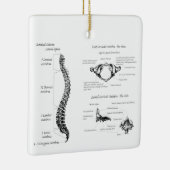 Dorn Keramikornament (Rechts)