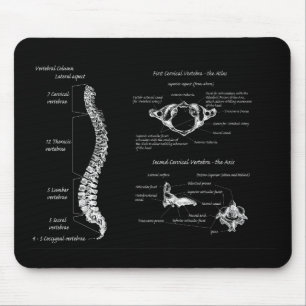 Dorn Mousepad