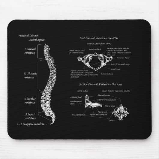 Dorn Mousepad (Vorne)