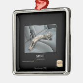 Dorn Ornament Aus Metall (Links)