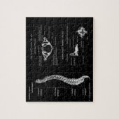 Dorn Puzzle (Vertikal)