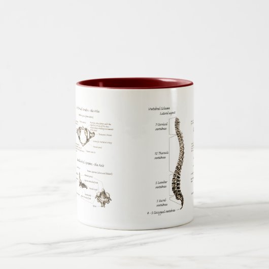 Dorn Zweifarbige Tasse (Mittel)