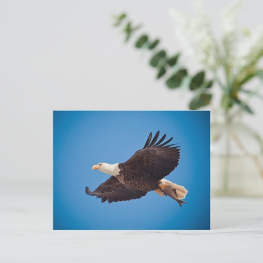 Dornadler Postkarte (Stehend Vorderseite)