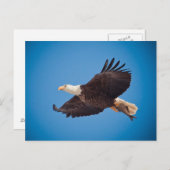 Dornadler Postkarte (Vorne/Hinten)