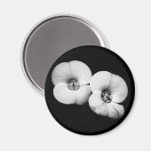 Dornenkrone Magnet (Vorderseite/Rückseite)