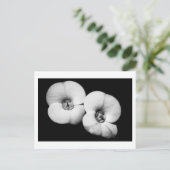 Dornenkrone Postkarte (Stehend Vorderseite)