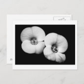 Dornenkrone Postkarte (Vorne/Hinten)