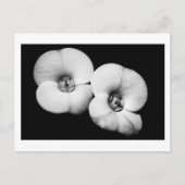 Dornenkrone Postkarte (Vorderseite)