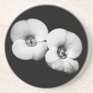 Dornenkrone Sandstein Untersetzer