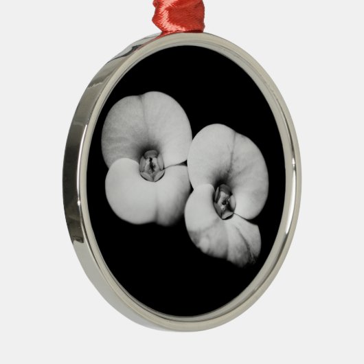 Dornenkrone Silbernes Ornament (Rechts)