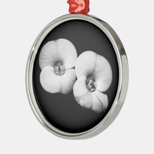 Dornenkrone Silbernes Ornament (Links)