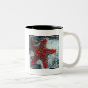 Dornenkrone Starfish auf dem Korallenriff Zweifarbige Tasse