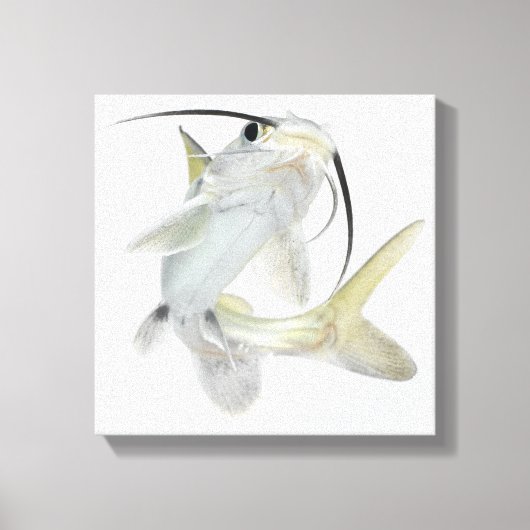 Dornhai (Hexanematichthys seemanni) Leinwanddruck (Vorderseite)