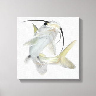 Dornhai (Hexanematichthys seemanni) Leinwanddruck