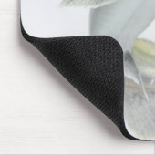 Dornhai (Hexanematichthys seemanni) Mousepad (Ecke)
