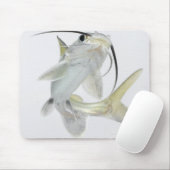 Dornhai (Hexanematichthys seemanni) Mousepad (Mit Mouse)