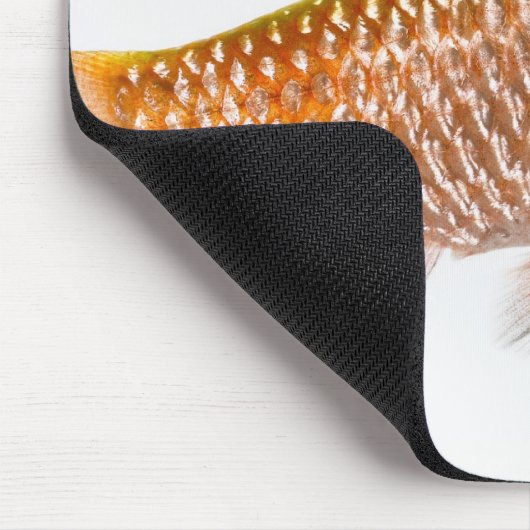 Dornhai (Puntius conchonius) Mousepad (Ecke)