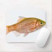 Dornhai (Puntius conchonius) Mousepad (Mit Mouse)