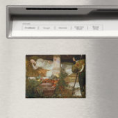 Dornröschen (Hübsche Prinzessin trifft ihren Prinz Magnet (In Situ (Geschirrspüler))