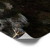 Dornröschenschloss Poster (Ecke)