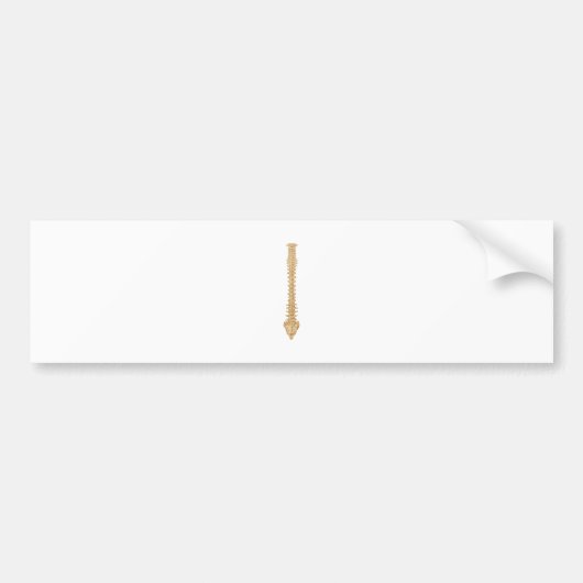 DornSepia Autoaufkleber (Vorne)