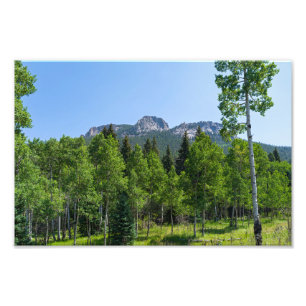 Dorodigipfel über Wäldern am goldenen Tor Fotodruck