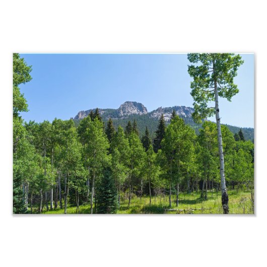 Dorodigipfel über Wäldern am goldenen Tor Fotodruck (Vorne)