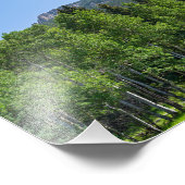 Dorodigipfel über Wäldern am goldenen Tor Fotodruck (Ecke)