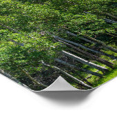 Dorodigipfel über Wäldern am goldenen Tor Poster (Ecke)