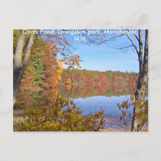 Dorrs Pond im Herbst-3, Dorrs Pond, Livingsto... Postkarte