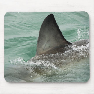 Dorsal aileron eines großen weißen Hais Mousepad