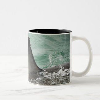 Dorsales Querruder eines Weißen Hais Zweifarbige Tasse