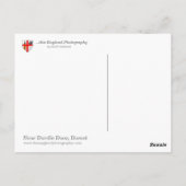 Dorset Coast Postkarte (Rückseite)