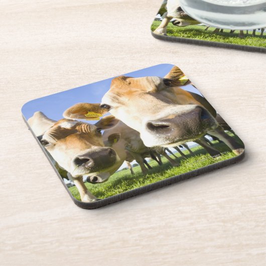 Dorset, Großbritannien Untersetzer (Linke Seite)